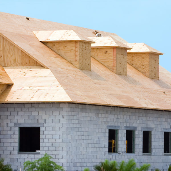 sklejka iglasta produkcja w Polsce